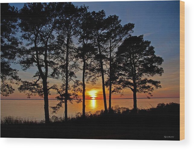 Newport News Wood Print featuring the photograph James River Sunset by Suzanne Stout