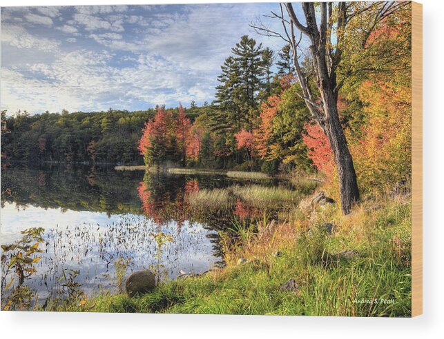 Jamie's Pond Wood Print featuring the photograph Jamie's Pond by Andrea Platt