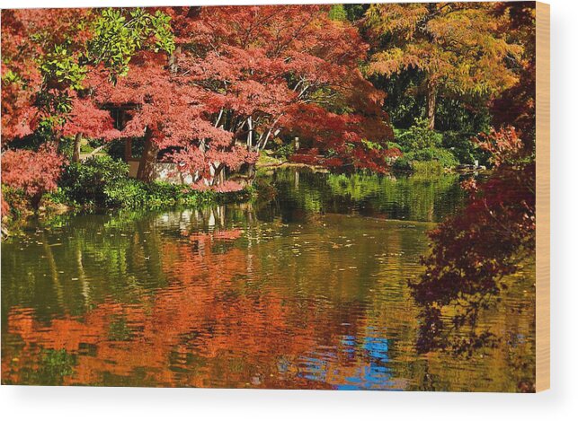 Japanese Gardens Wood Print featuring the photograph Japanese Gardens by Ricardo J Ruiz de Porras