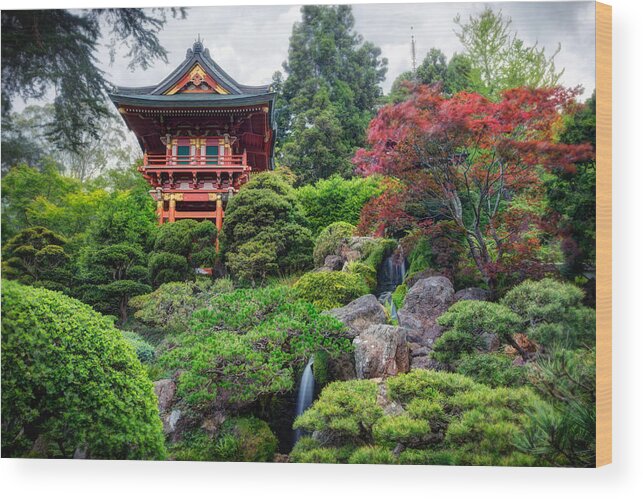 3scape Wood Print featuring the photograph Japanese Tea Garden - Golden Gate Park by Adam Romanowicz