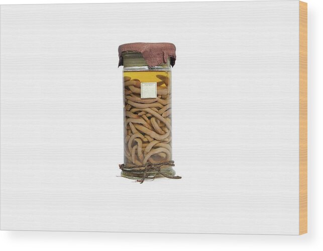 Formalin Wood Print featuring the photograph Jar Of Preserved Earthworms by Gregory Davies