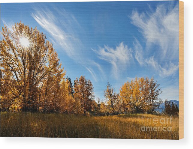 Canadian Rockies Wood Print featuring the photograph Jasper - Autumn Sky Chief by Terry Elniski