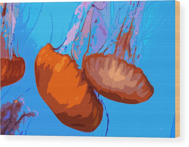 Jellyfish Wood Print featuring the photograph Jellyfish by Carol McCarty