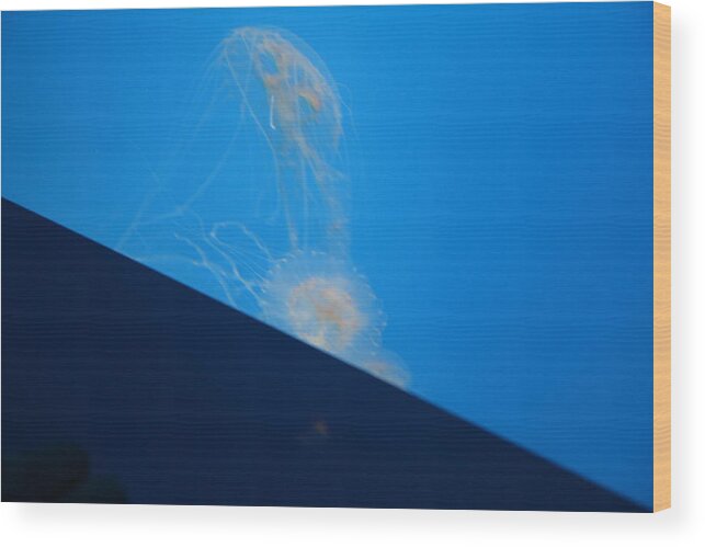 Inner Wood Print featuring the photograph Jellyfish - National Aquarium in Baltimore MD - 121245 by DC Photographer