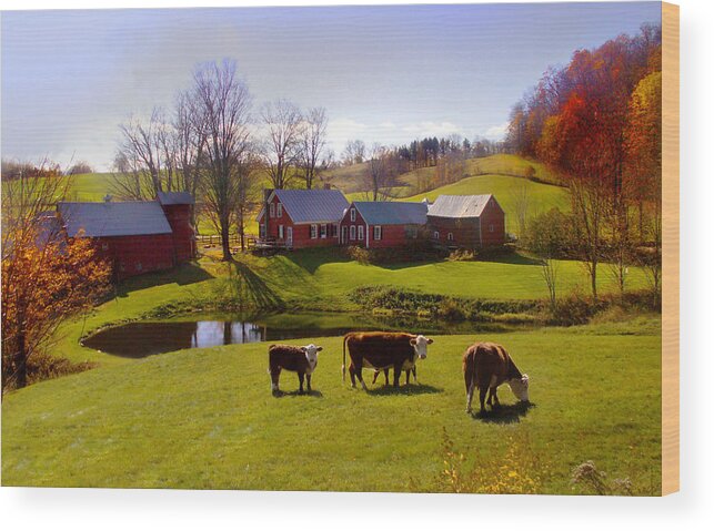 Jenne Farm Wood Print featuring the photograph Jenne Farm In Autumn by Nancy Griswold