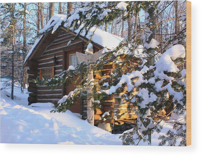Cabin Wood Print featuring the photograph Jester Haus by Pat Purdy