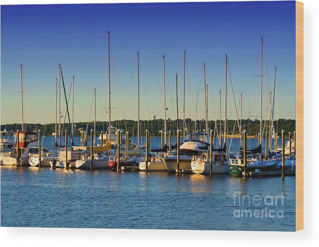Boat Wood Print featuring the photograph Join the Club by Tammie Miller