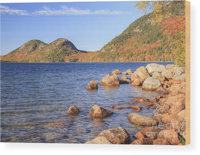 Fall Wood Print featuring the photograph Jordan Pond and The Bubbles in Autumn Acadia National Park by Ken Brown