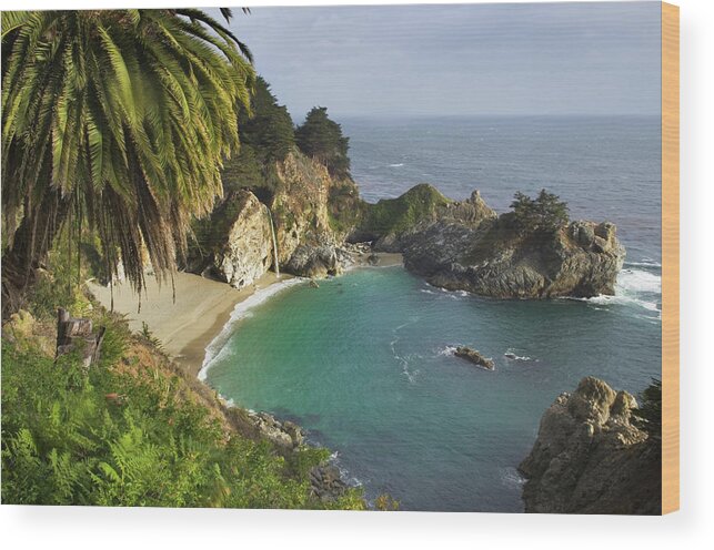 Water's Edge Wood Print featuring the photograph Julia Pfeiffer Burns State Park by Alan Majchrowicz