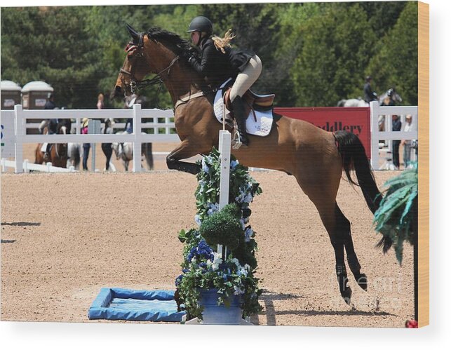 Equestrian Wood Print featuring the photograph Jumper 37 by Janice Byer