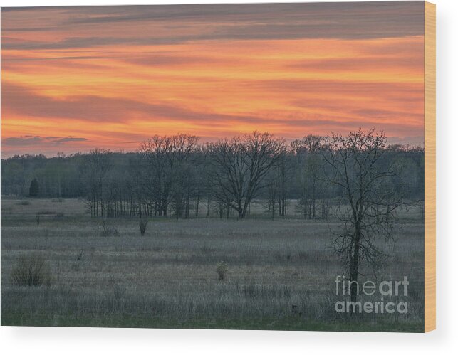 Sunset Wood Print featuring the photograph Jupiter sunset by Dan Hefle
