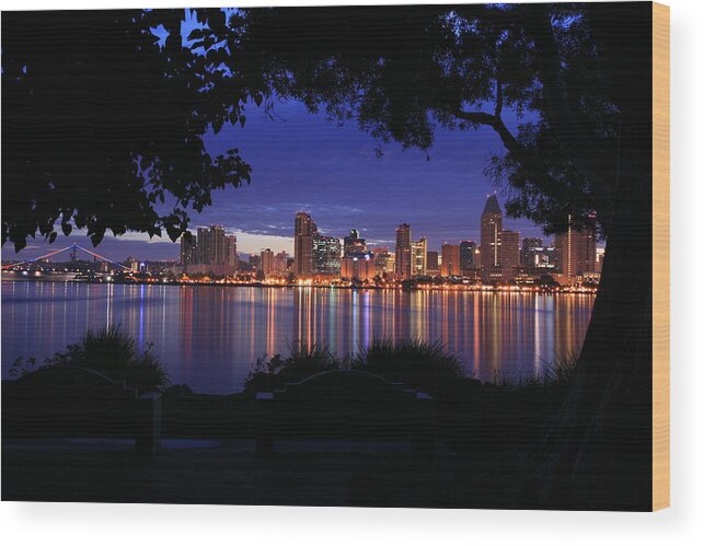 Landscape Wood Print featuring the photograph Just before Sunrise San Diego by Scott Cunningham