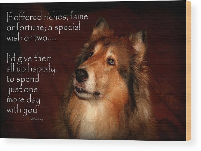Quote Wood Print featuring the photograph Just One More Day by Sue Long