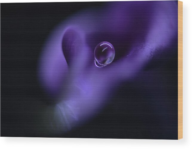 Purple Wood Print featuring the photograph Kala`s Pearl by Heidi Westum