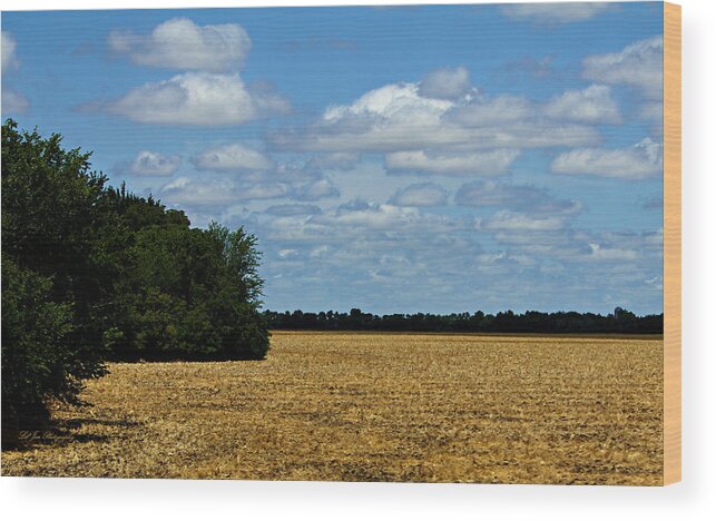 Field Wood Print featuring the photograph Kansas Fields by Jeanette C Landstrom