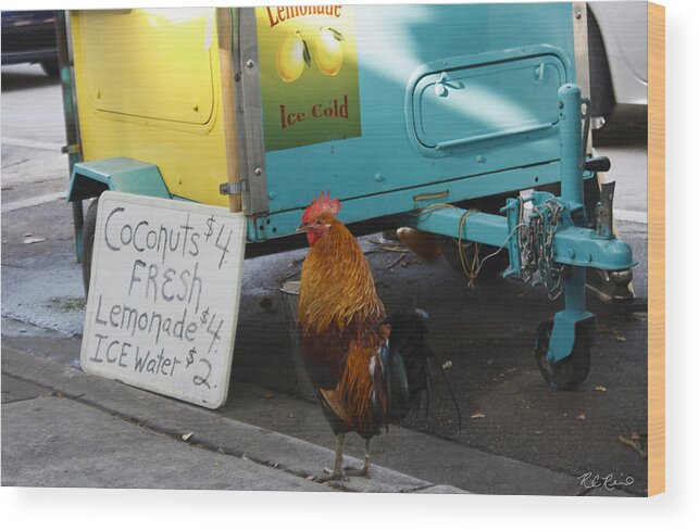 Florida Wood Print featuring the photograph Key West - Rooster Making a Living by Ronald Reid