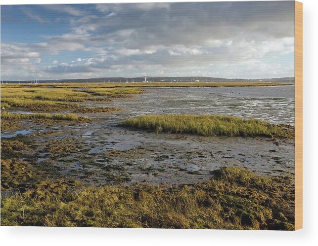 Keyhaven Marshes Wood Print featuring the photograph Keyhaven Marshes Nature Reserve by Bob Gibbons/science Photo Library