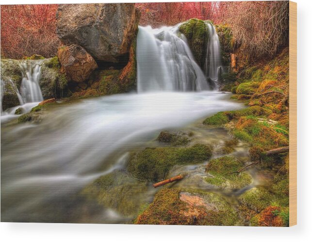 Creek Wood Print featuring the photograph Kiesel Falls by David Andersen