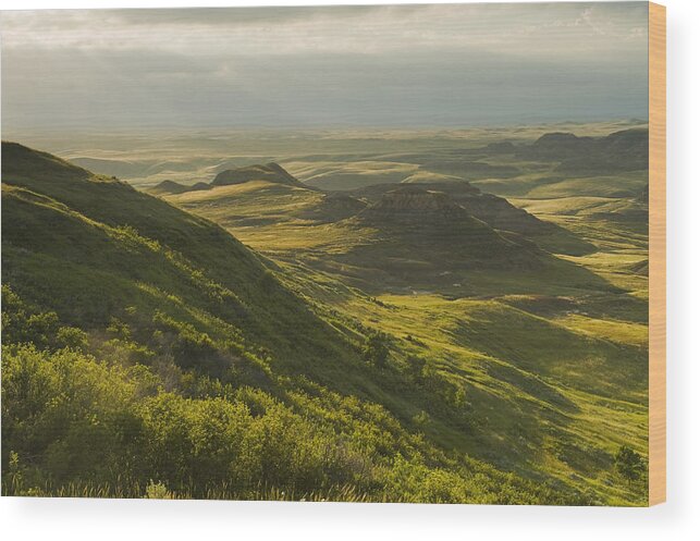 Horizon Wood Print featuring the photograph Killdeer Badlands In The East Block Of by Dave Reede