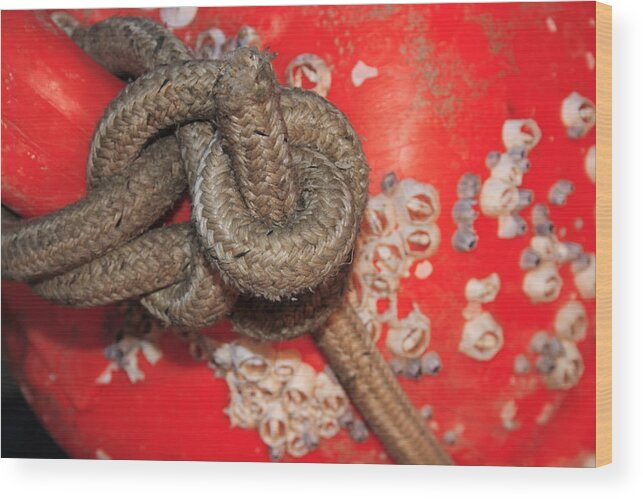 Adriatic Wood Print featuring the photograph Knots and red buoy by Ulrich Kunst And Bettina Scheidulin