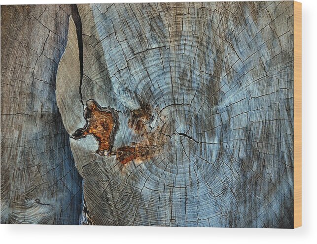 Knotty Wood Print featuring the photograph Knotty by Tom Druin