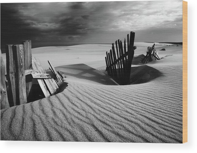Fence Wood Print featuring the photograph Konfrontation by Dmitry Kulagin