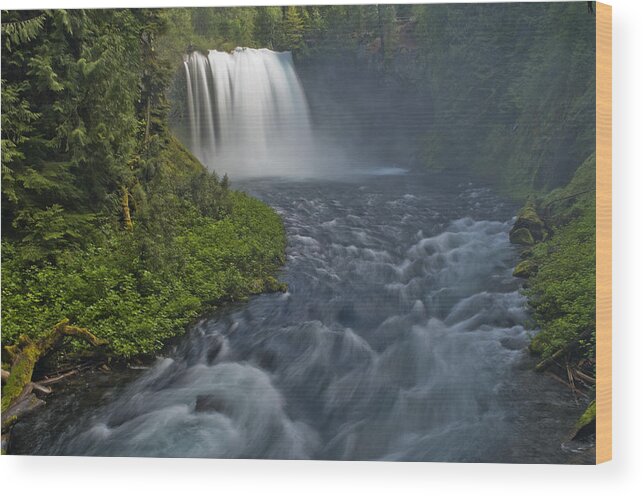 Koosah Wood Print featuring the photograph Koosah Falls by Paul Riedinger