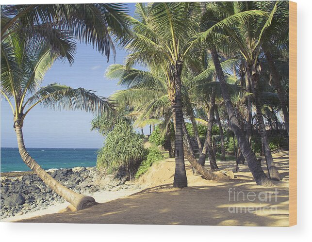  Wood Print featuring the photograph Kuau Cove Beach Paia Maui North Shore Hawaii by Sharon Mau