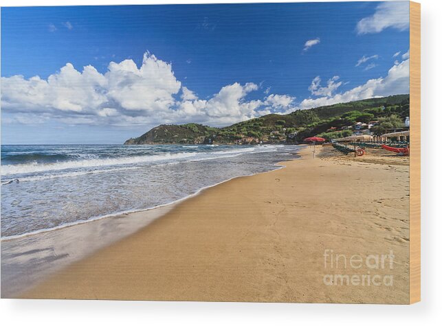 Bay Wood Print featuring the photograph La Biodola beach - Isle of elba by Antonio Scarpi