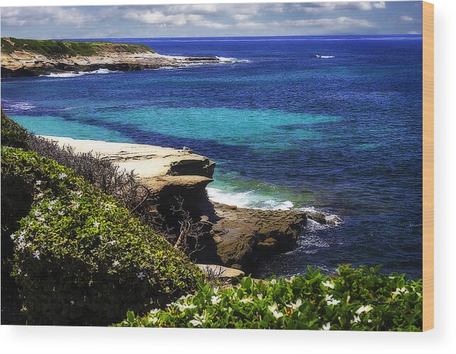 Color Wood Print featuring the photograph La Jolla Beach -3 by Alan Hausenflock