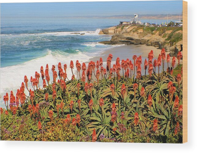 Coastline Wood Print featuring the photograph La Jolla Coast with Flowers Blooming by Jane Girardot