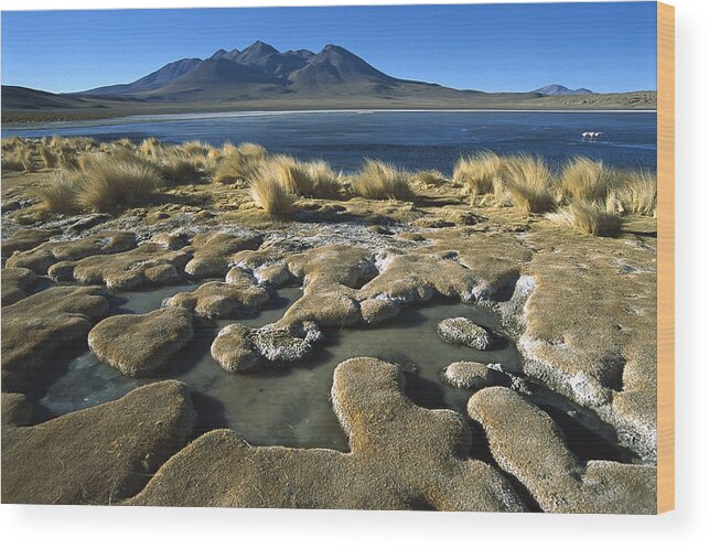 Feb0514 Wood Print featuring the photograph Laguna Canapa Potosi District Altiplano by Tui De Roy