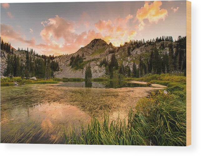 Lake Catherine Wood Print featuring the photograph Lake Catherine by Emily Dickey