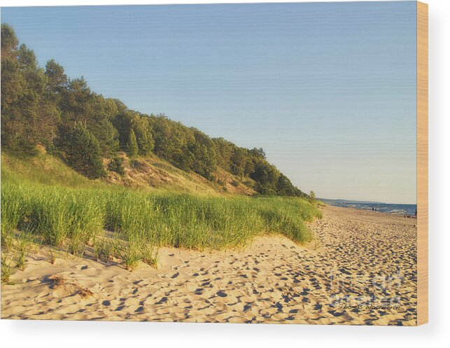 Lake Michigan Wood Print featuring the photograph Lake Michigan Dunes 01 by Thomas Woolworth