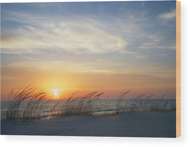 Dune Wood Print featuring the photograph Lake Michigan Sunset with Dune Grass by Mary Lee Dereske