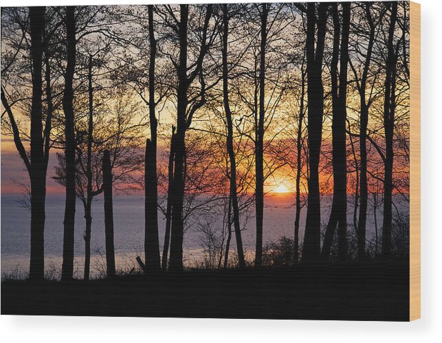 Lake Wood Print featuring the photograph Lake Michigan Sunset with Silhouetted Trees by Mary Lee Dereske
