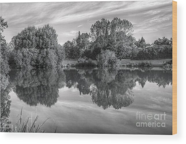 St James Lake Wood Print featuring the photograph Lake Reflections by Jeremy Hayden
