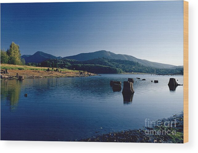 Landscape Wood Print featuring the photograph Lake Scene by Earl Johnson