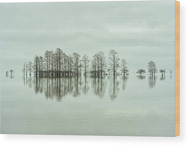 Foggy Wood Print featuring the photograph Lake-shore Lineup Beauty by Liyun Yu