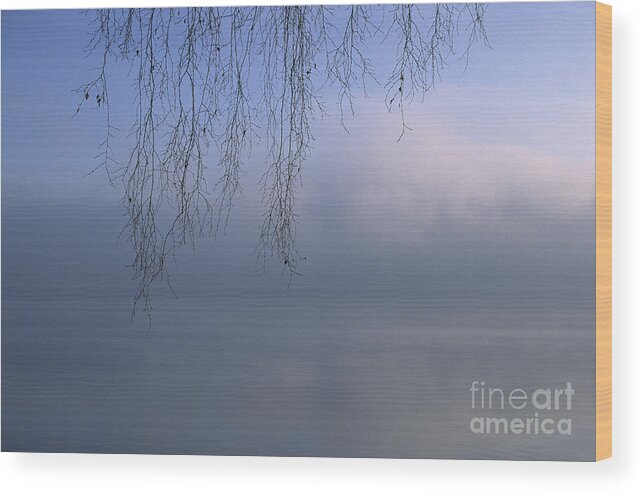 Tree Wood Print featuring the photograph Lake Stillness by Jim Corwin