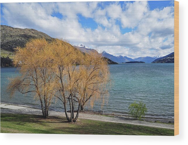 Scenics Wood Print featuring the photograph Lake Wakatipu, Queenstown by Steve Clancy Photography
