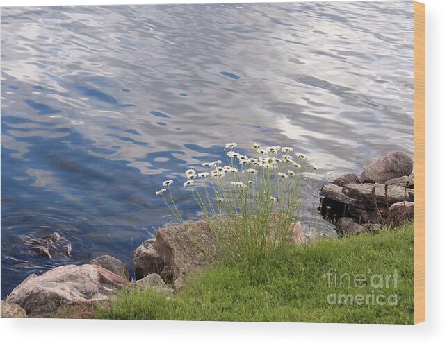 Lake Wood Print featuring the photograph Lakeshore by Margaret Hamilton