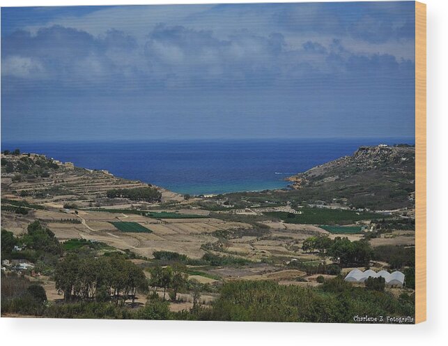  Wood Print featuring the photograph Land and Sea by Charlene Zammit