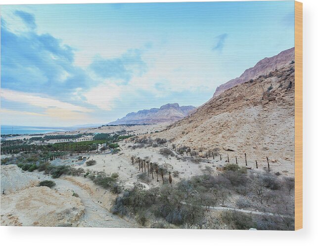 Dead Sea Wood Print featuring the photograph Landscape And The Judean Mountains by Reynold Mainse / Design Pics
