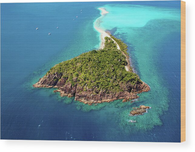 Tranquility Wood Print featuring the photograph Langford Island Aerial Whitsundays by Image By Edward Hodgkin