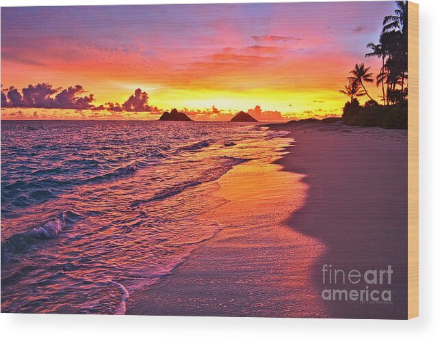 Lanikai Beach Wood Print featuring the photograph Lanikai Beach Winter Sunrise Rays of Light by Aloha Art