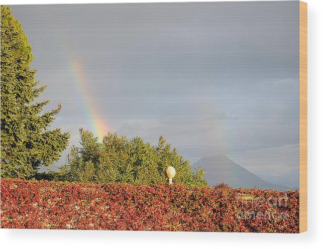 Arcobaleno Wood Print featuring the photograph L'arcobaleno by Adriana Otetea