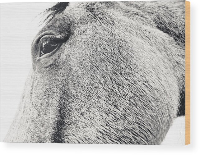 Eye Wood Print featuring the photograph Larger than Life and Still Beautiful by Maggy Marsh