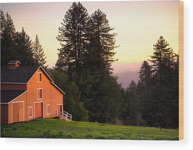 Red Wood Print featuring the photograph Last Light by Weir Here And There