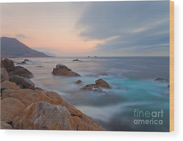 Landscape Wood Print featuring the photograph Last Light by Jonathan Nguyen